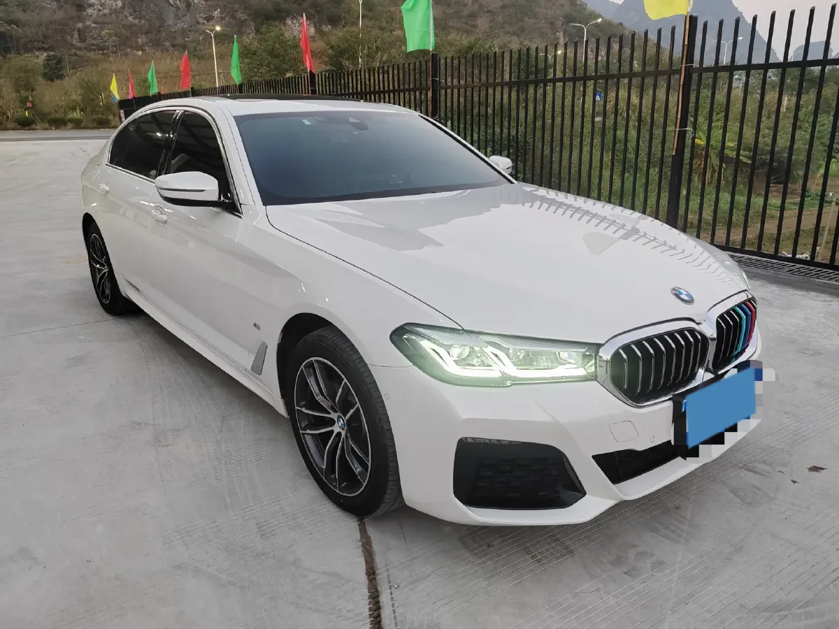 2022 BMW 5 Series 2.0T 184HP L4 8AT,autocango,china used car exporter,china ev exporter,chinese used car exporter,chinese used ev exporter