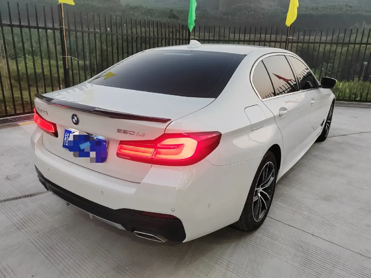 2022 BMW 5 Series 2.0T 184HP L4 8AT,autocango,china used car exporter,china ev exporter,chinese used car exporter,chinese used ev exporter