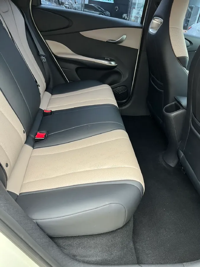 2025 BYD Dolphin BEV 44.928KWH,autocango,china used car exporter,china ev exporter,chinese used car exporter,chinese used ev exporter