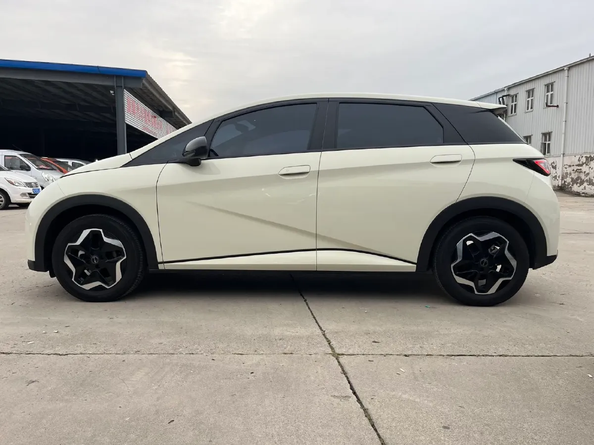 2025 BYD Dolphin BEV 44.928KWH,autocango,china used car exporter,china ev exporter,chinese used car exporter,chinese used ev exporter