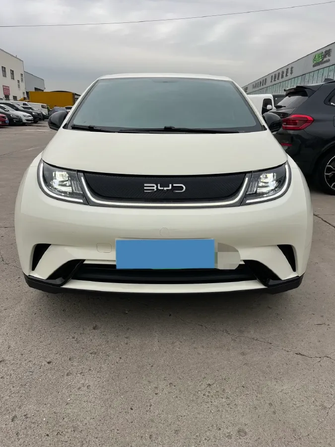 2025 BYD Dolphin BEV 44.928KWH,autocango,china used car exporter,china ev exporter,chinese used car exporter,chinese used ev exporter