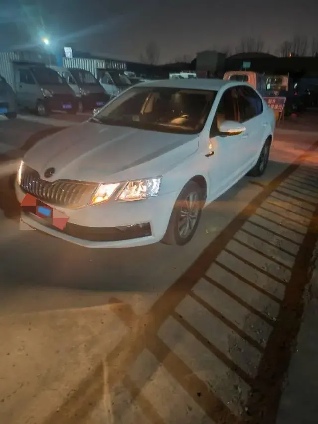 2019 Skoda Octavia 1.2T 116HP L4 7DCT