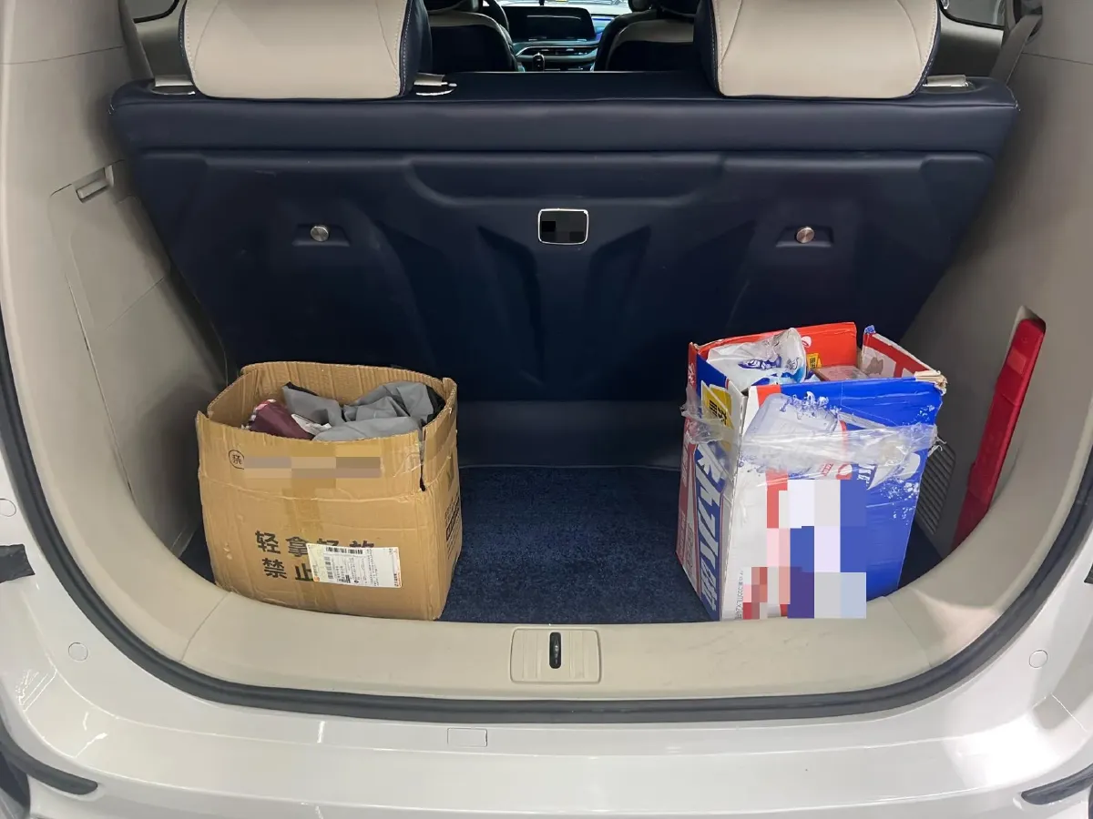 2021 Buick GL8 2.0T 237HP L4 9AT,autocango,china used car exporter,china ev exporter,chinese used car exporter,chinese used ev exporter