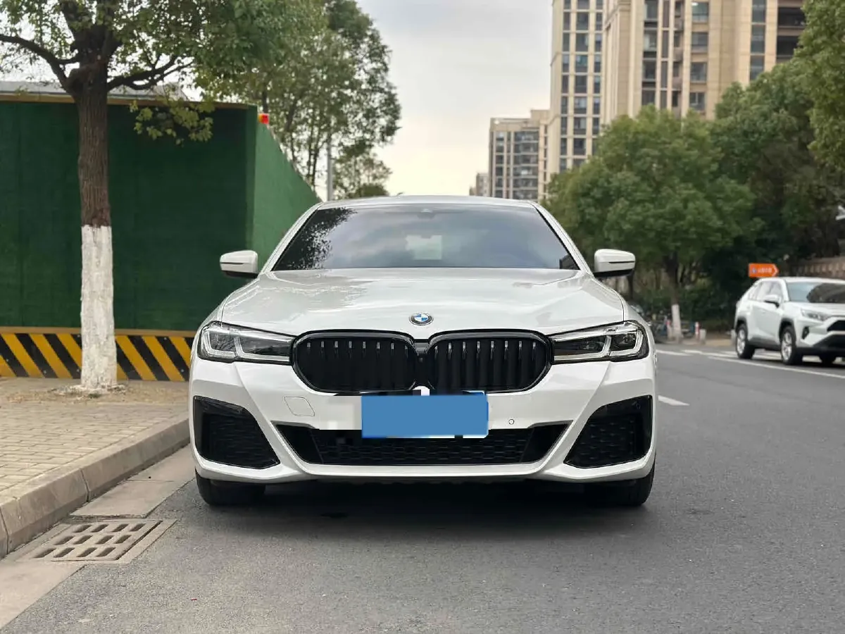 2021 BMW 5 Series 2.0T 252HP L4 8AT,autocango,china used car exporter,china ev exporter,chinese used car exporter,chinese used ev exporter