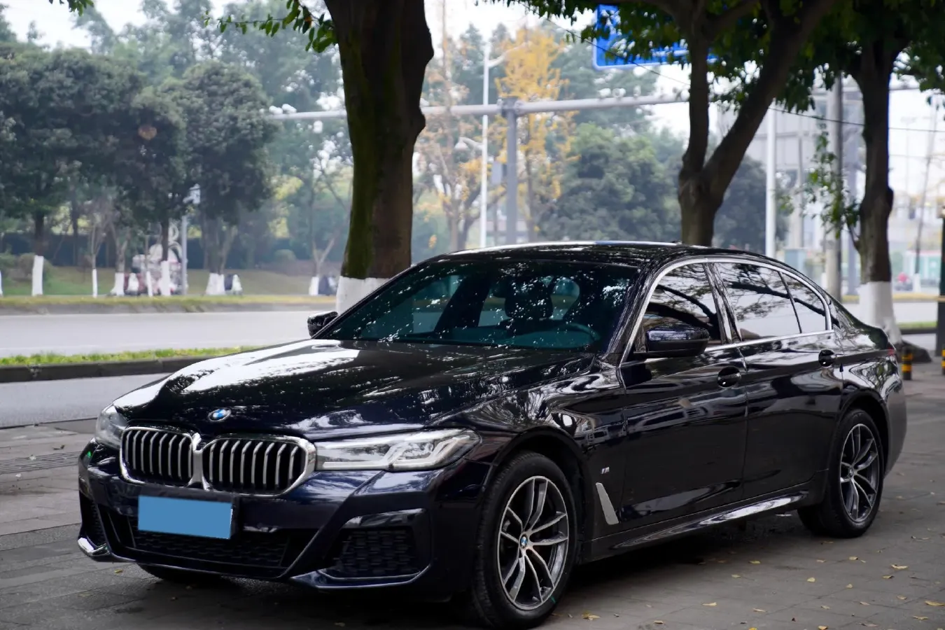 2022 BMW 5 Series 2.0T 184HP L4 8AT,autocango,china used car exporter,china ev exporter,chinese used car exporter,chinese used ev exporter