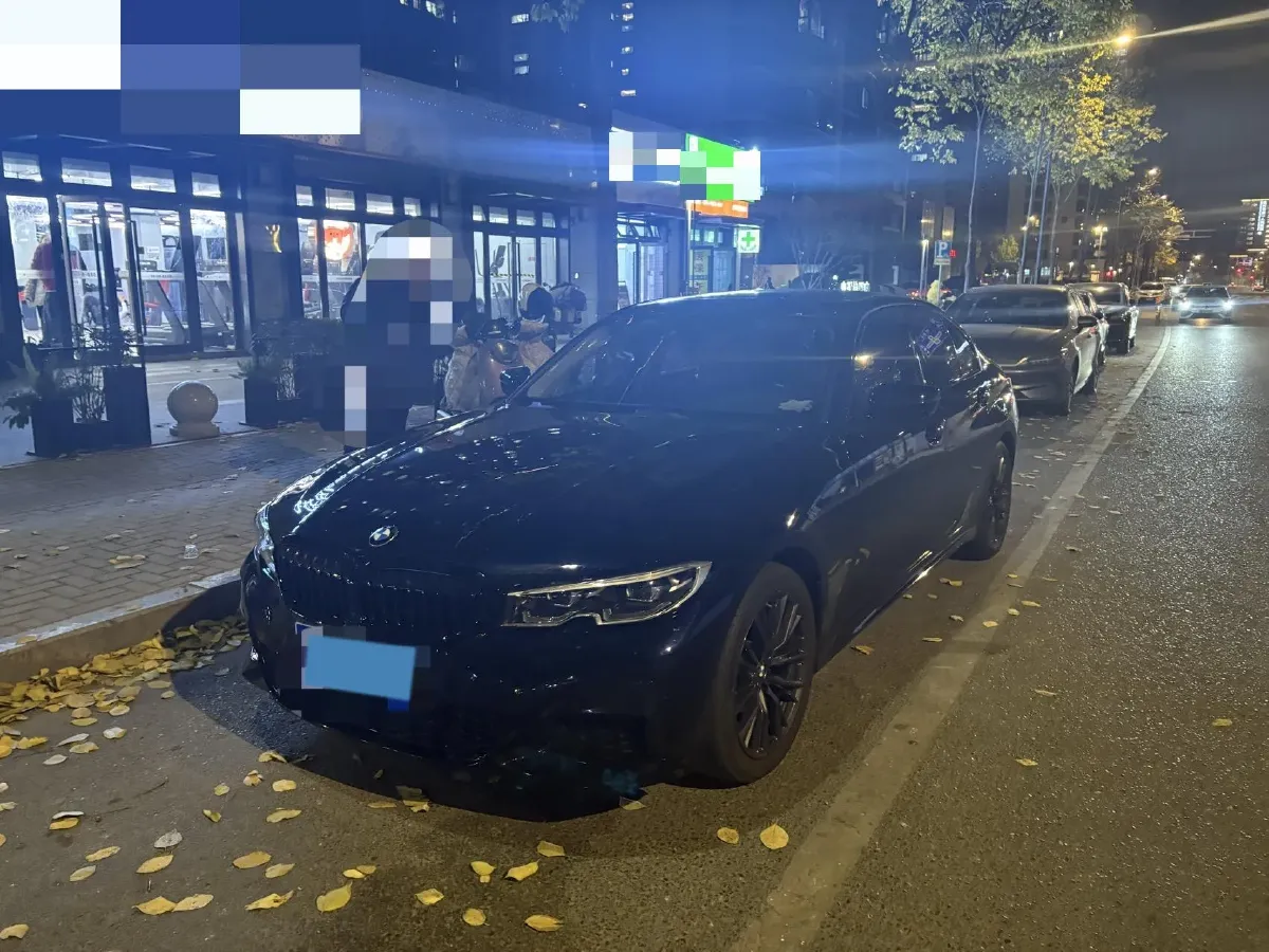 2021 BMW 3 Series 2.0T 184HP L4 8AT,autocango,china used car exporter,china ev exporter,chinese used car exporter,chinese used ev exporter