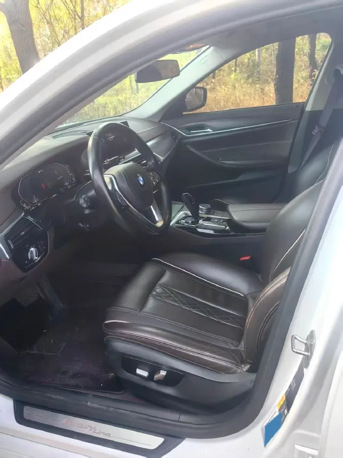 2020 BMW 5 Series 2.0T 184HP L4 8AT PHEV 17.7KWH,autocango,china used car exporter,china ev exporter,chinese used car exporter,chinese used ev exporter