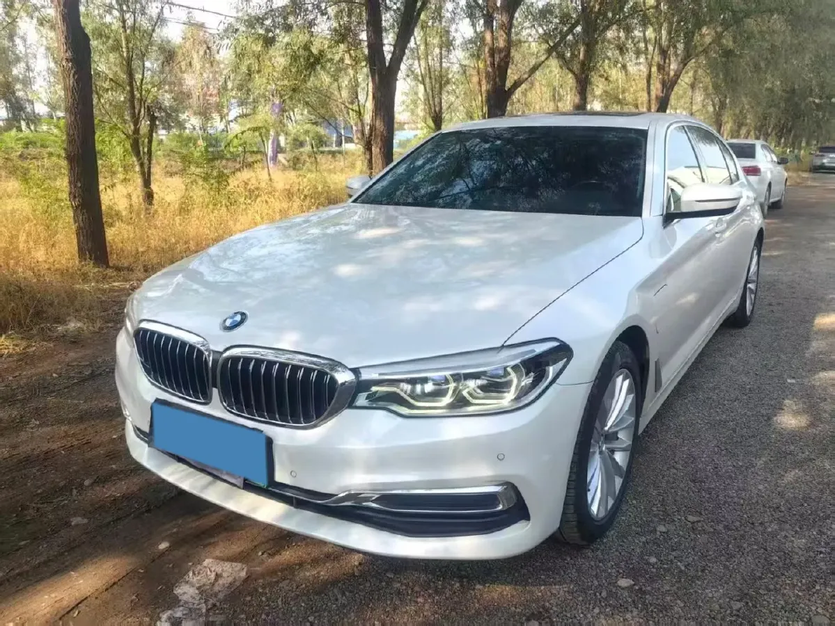 2020 BMW 5 Series 2.0T 184HP L4 8AT PHEV 17.7KWH,autocango,china used car exporter,china ev exporter,chinese used car exporter,chinese used ev exporter