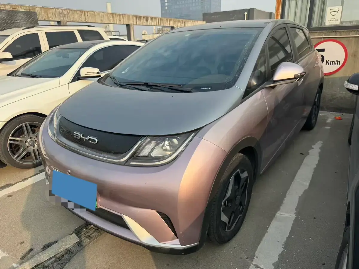 2021 BYD Yuan Pro BEV 50.1KWH