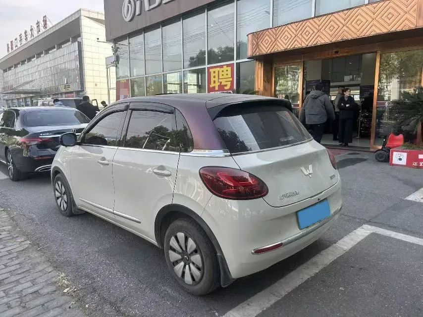 2023 WuLing BinGuo BEV 31.9KWH,autocango,china used car exporter,china ev exporter,chinese used car exporter,chinese used ev exporter