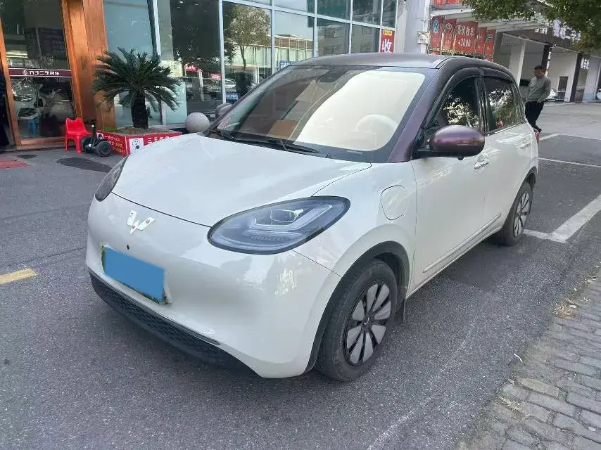 2023 WuLing BinGuo BEV 31.9KWH