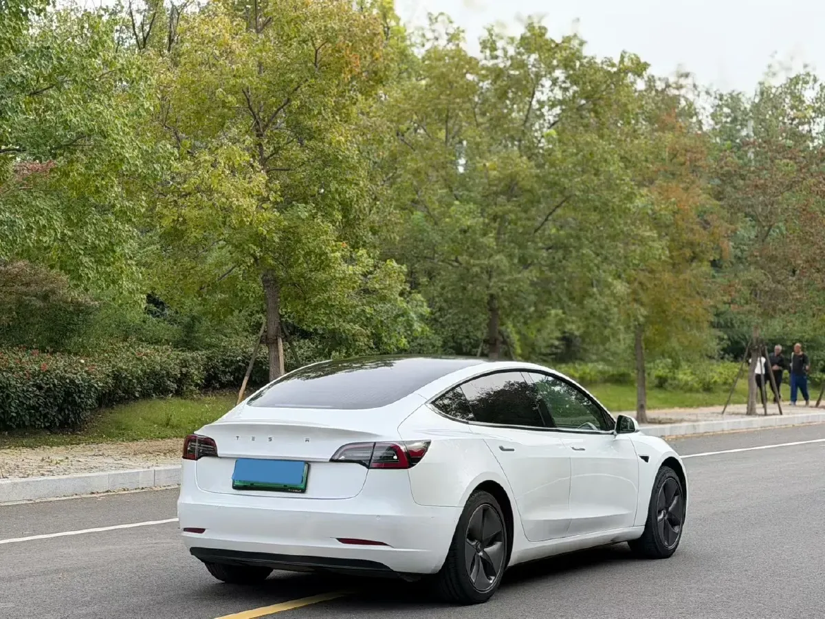 2019 Tesla Model 3 BEV 60KWH,autocango,china used car exporter,china ev exporter,chinese used car exporter,chinese used ev exporter