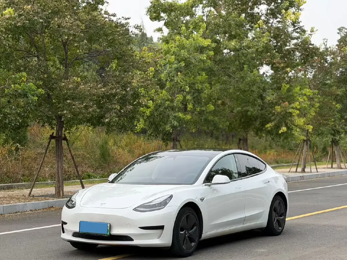 2019 Tesla Model 3 BEV 60KWH
