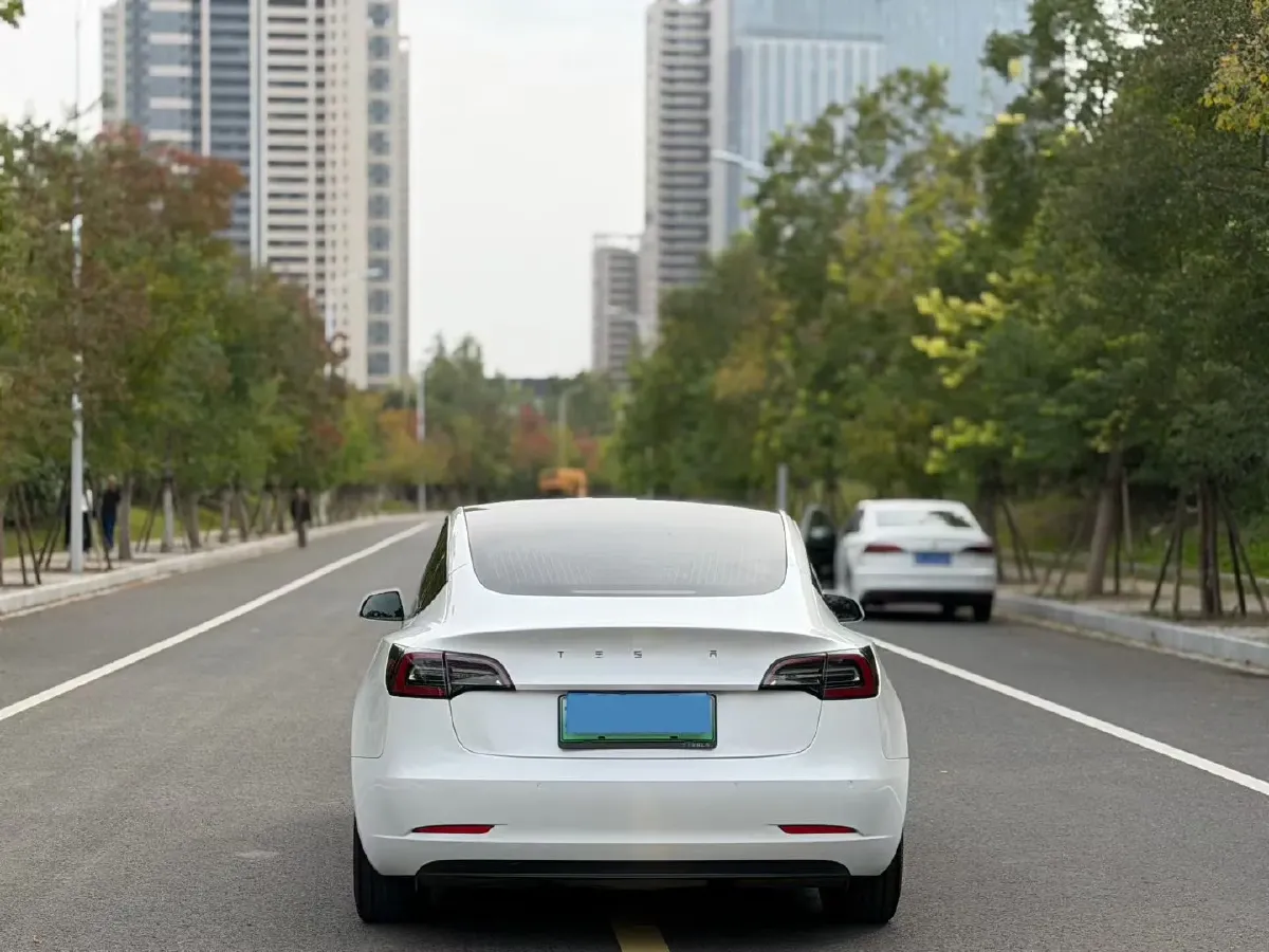 2019 Tesla Model 3 BEV 60KWH,autocango,china used car exporter,china ev exporter,chinese used car exporter,chinese used ev exporter