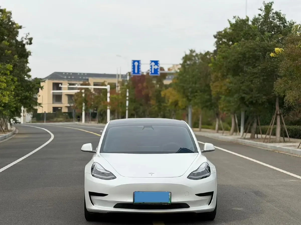 2019 Tesla Model 3 BEV 60KWH,autocango,china used car exporter,china ev exporter,chinese used car exporter,chinese used ev exporter