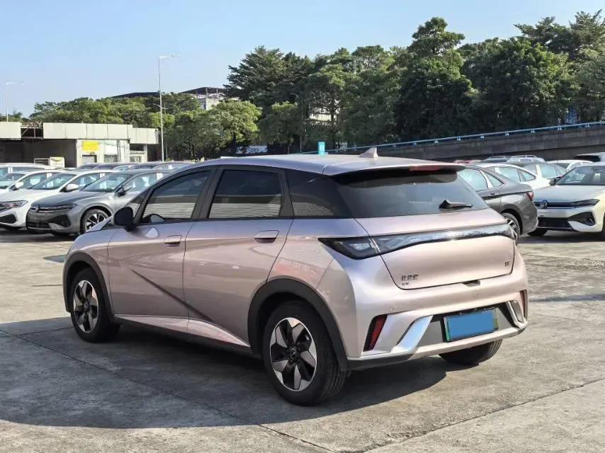 2024 BYD Dolphin BEV 44.928KWH,autocango,china used car exporter,china ev exporter,chinese used car exporter,chinese used ev exporter