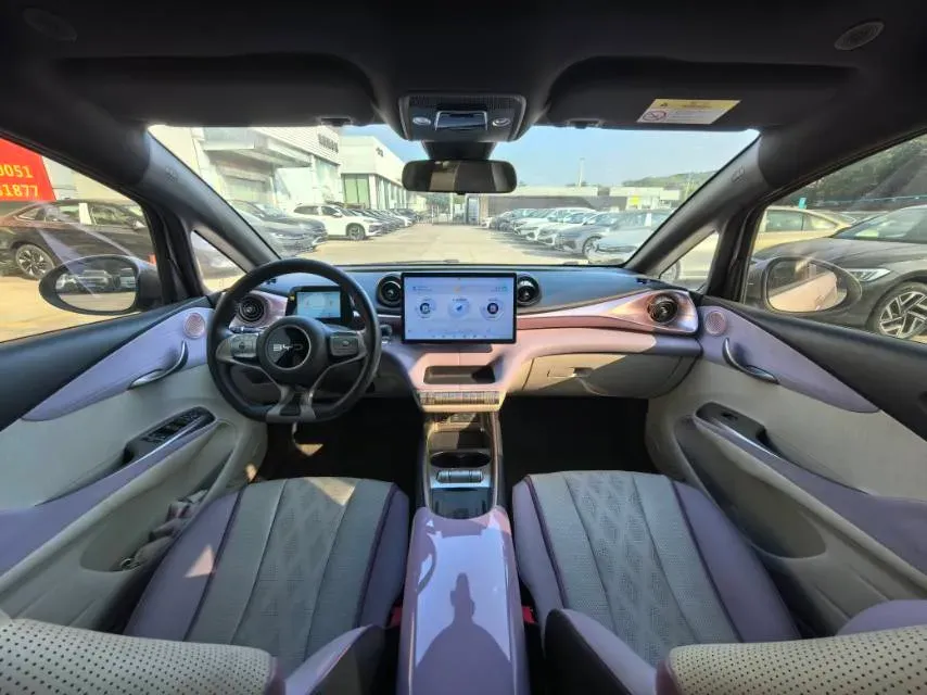 2024 BYD Dolphin BEV 44.928KWH,autocango,china used car exporter,china ev exporter,chinese used car exporter,chinese used ev exporter