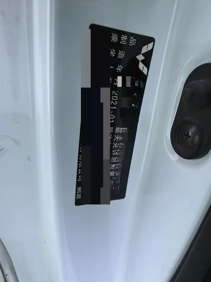 2020 WuLing HongGuang MINI EV BEV 13.8KWH,autocango,china used car exporter,china ev exporter,chinese used car exporter,chinese used ev exporter