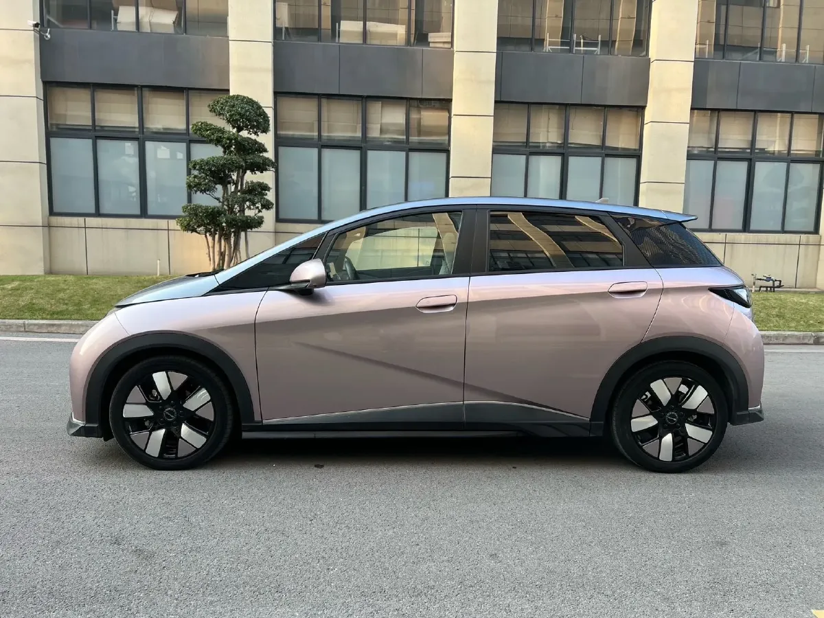 2021 BYD e2 BEV 43.2KWH,autocango,china used car exporter,china ev exporter,chinese used car exporter,chinese used ev exporter