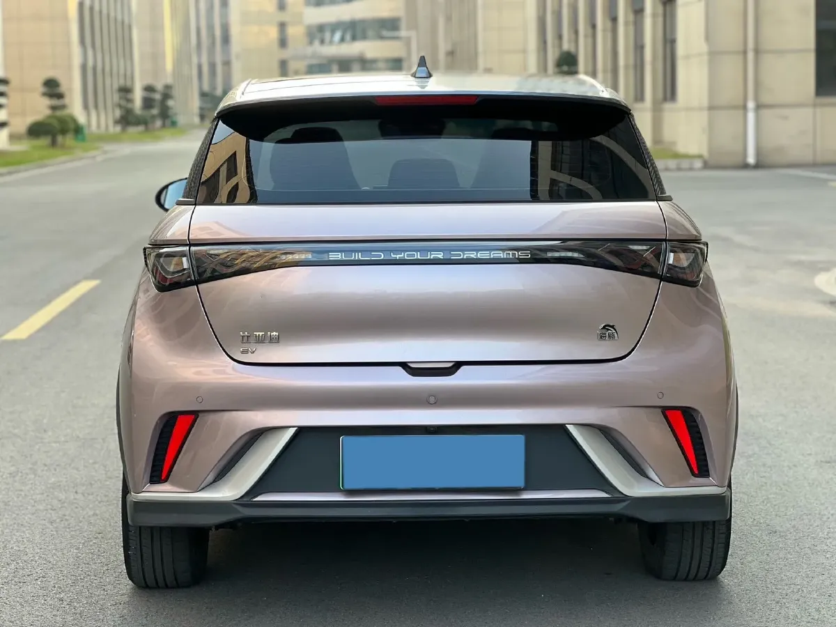 2021 BYD e2 BEV 43.2KWH,autocango,china used car exporter,china ev exporter,chinese used car exporter,chinese used ev exporter