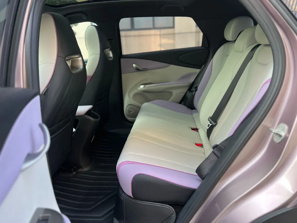 2021 BYD e2 BEV 43.2KWH,autocango,china used car exporter,china ev exporter,chinese used car exporter,chinese used ev exporter