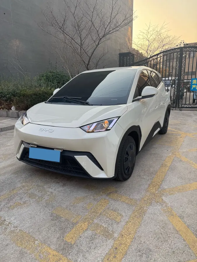 2025 BYD Seagull BEV 30.08KWH