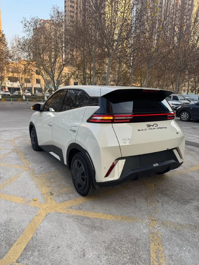 2025 BYD Seagull BEV 30.08KWH,autocango,china used car exporter,china ev exporter,chinese used car exporter,chinese used ev exporter