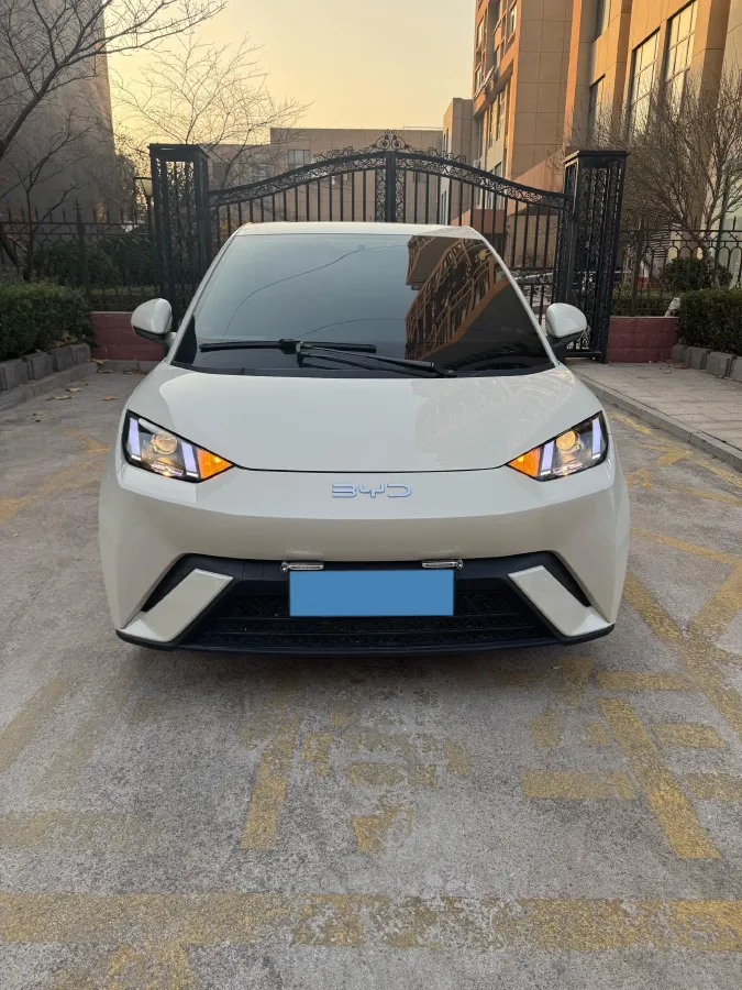 2025 BYD Seagull BEV 30.08KWH,autocango,china used car exporter,china ev exporter,chinese used car exporter,chinese used ev exporter