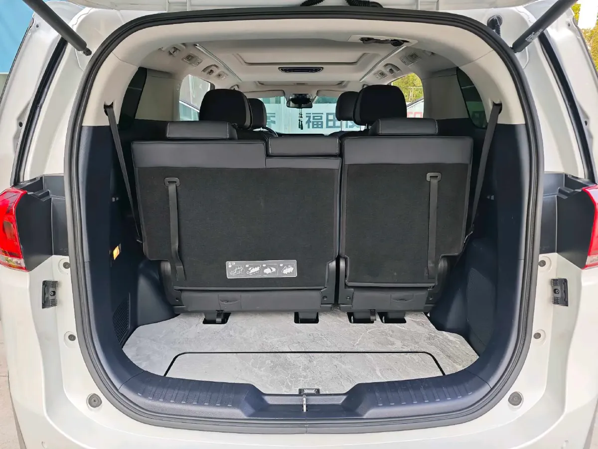 2023 GAC Trumpchi M8 2.0T 252HP L4 8AT,autocango,china used car exporter,china ev exporter,chinese used car exporter,chinese used ev exporter