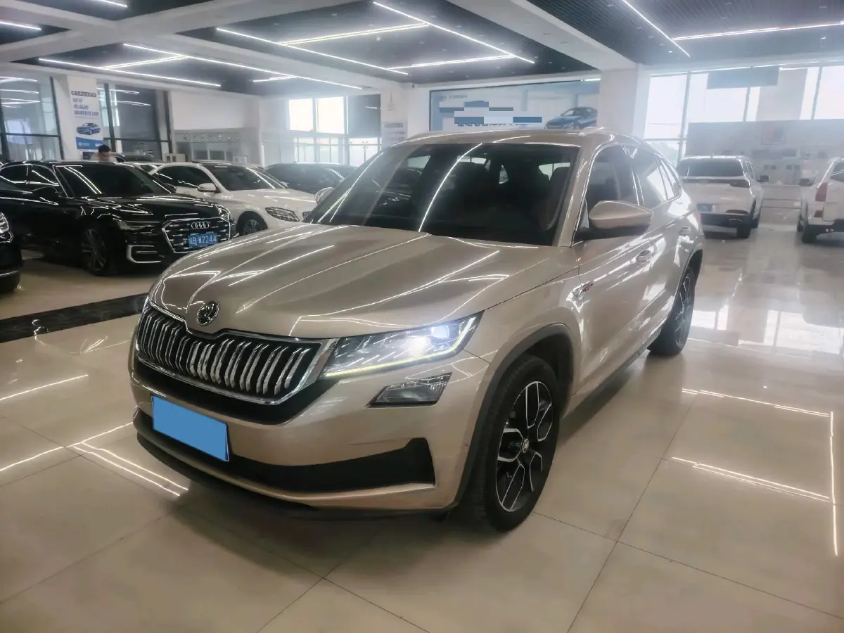 2019 BYD Song BEV 61.9KWH