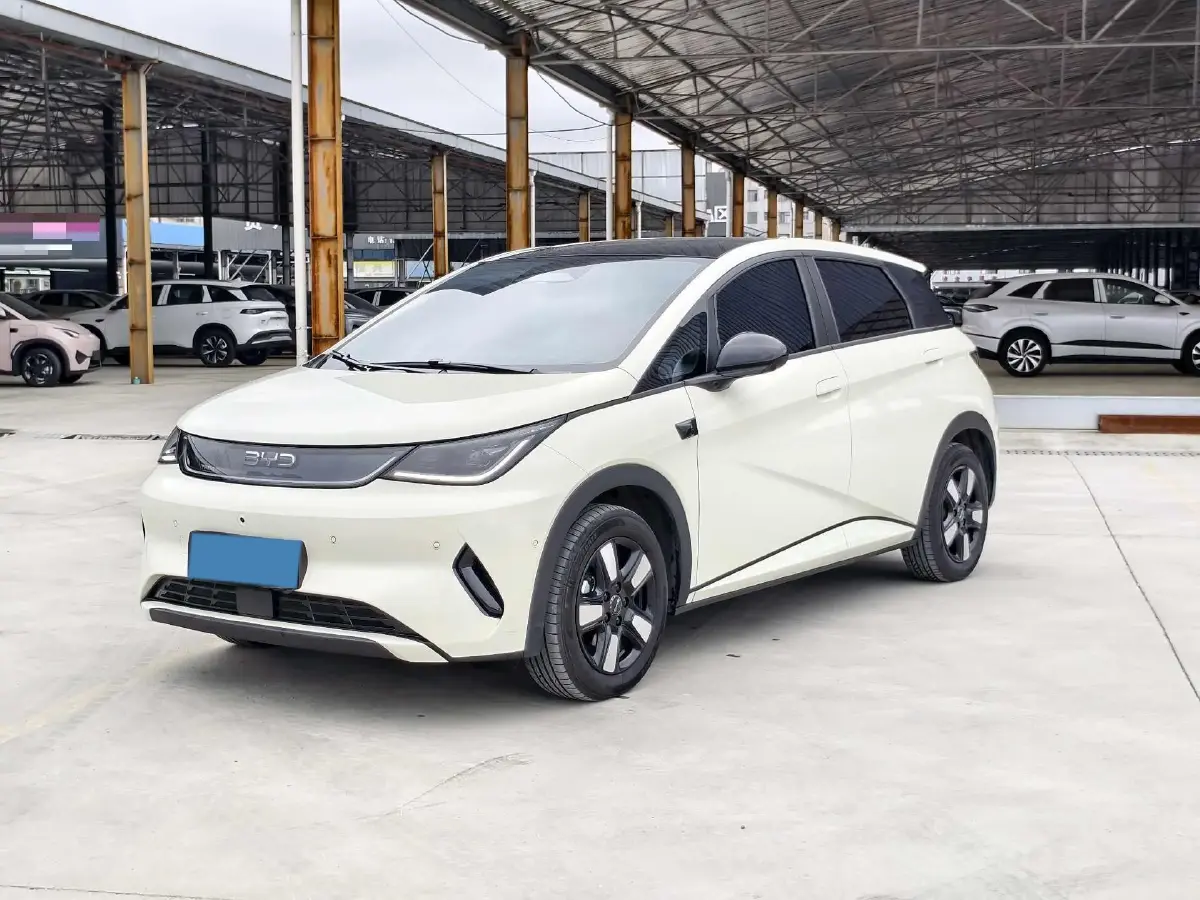 2025 BYD Dolphin BEV 45.12KWH