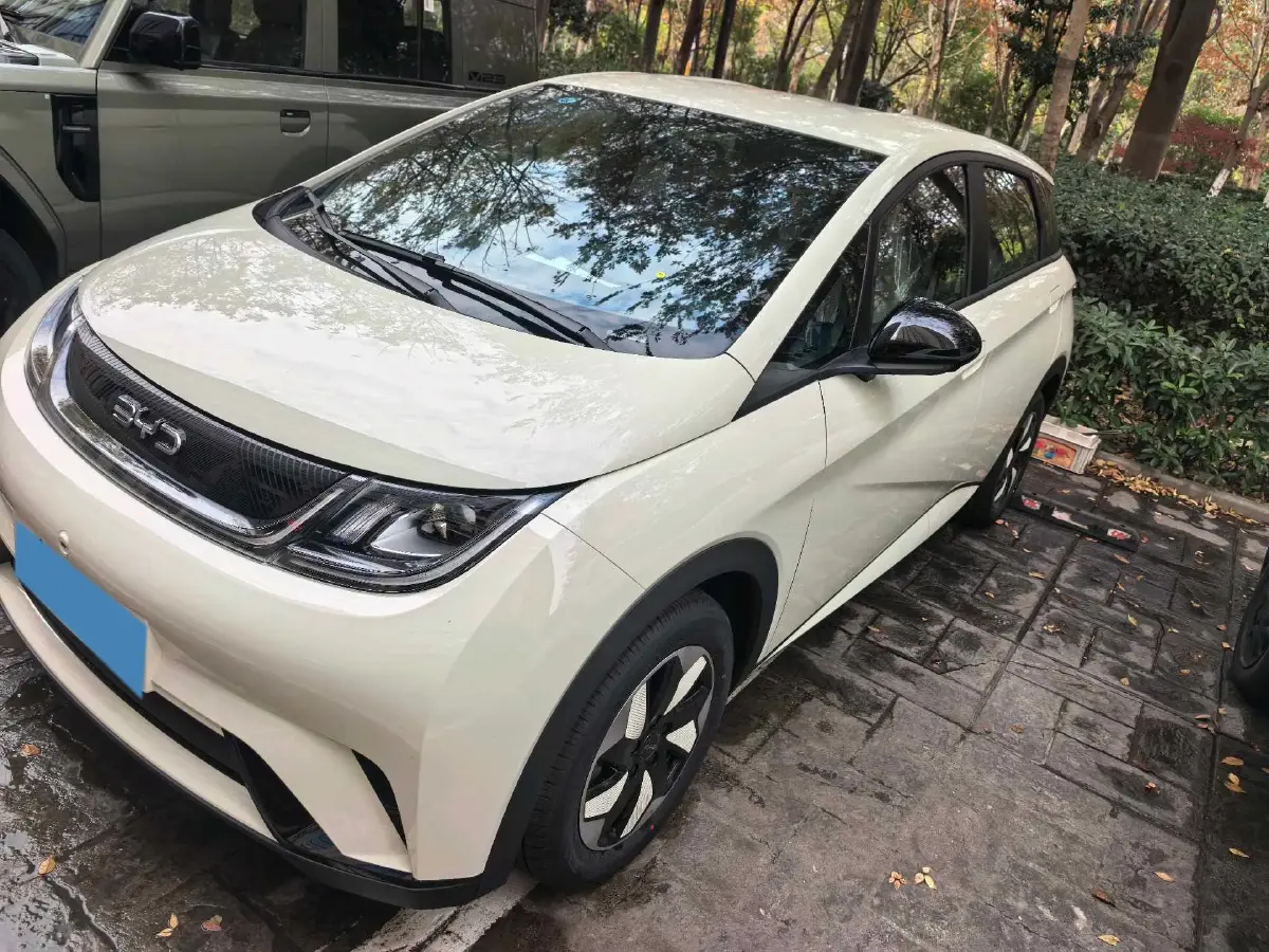 2025 BYD Dolphin BEV 44.928KWH