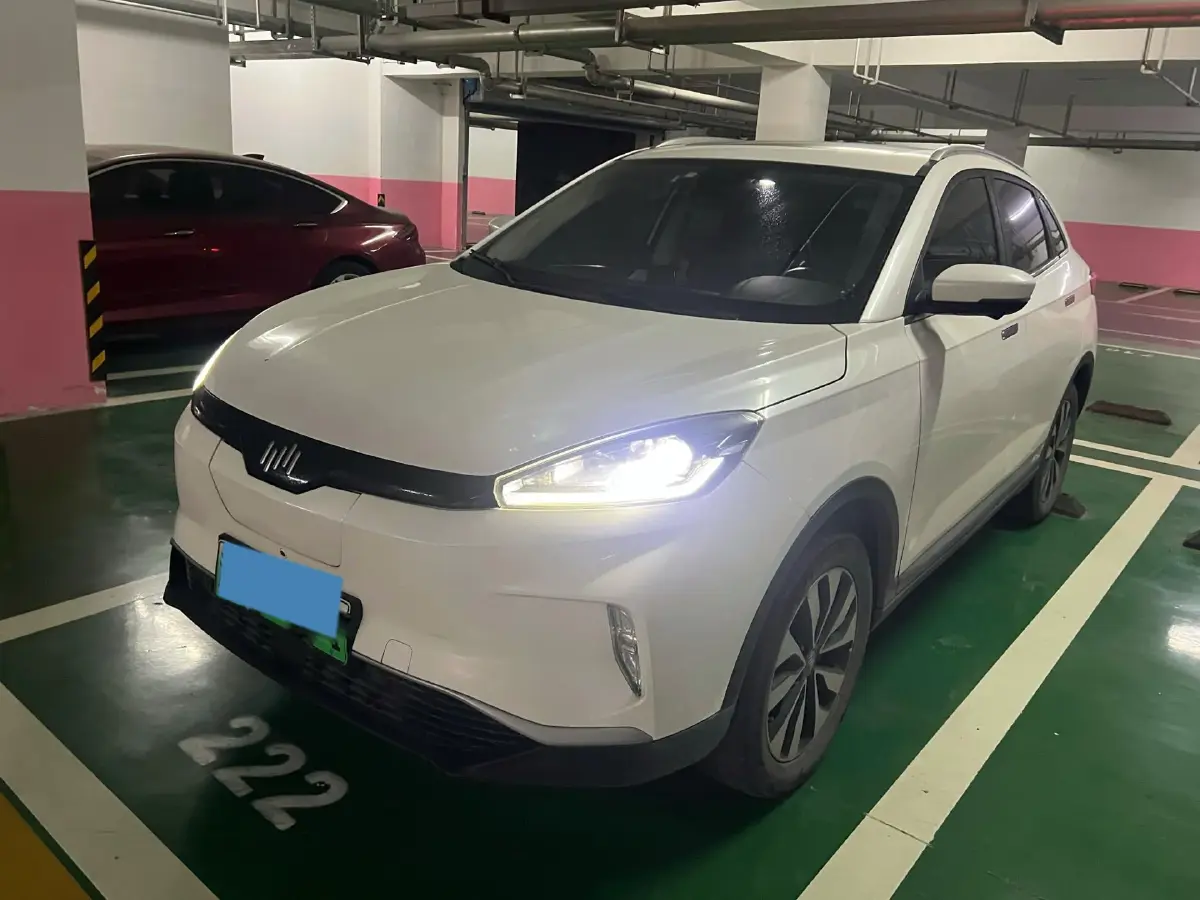 2019 Weltmeister EX5 BEV 52.56KWH