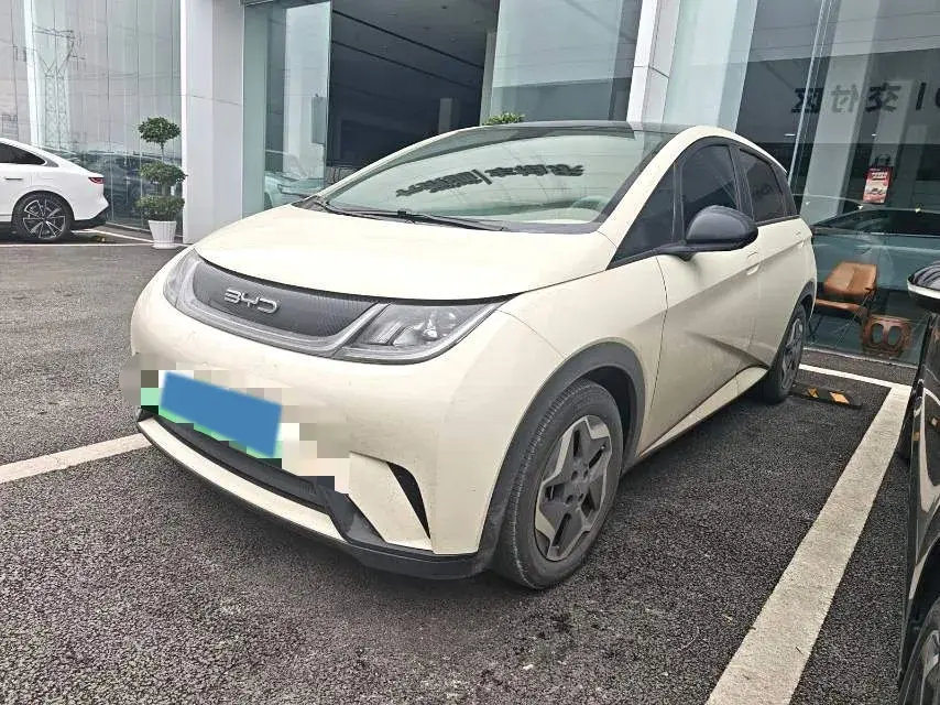 2021 BYD Yuan Pro BEV 50.1KWH