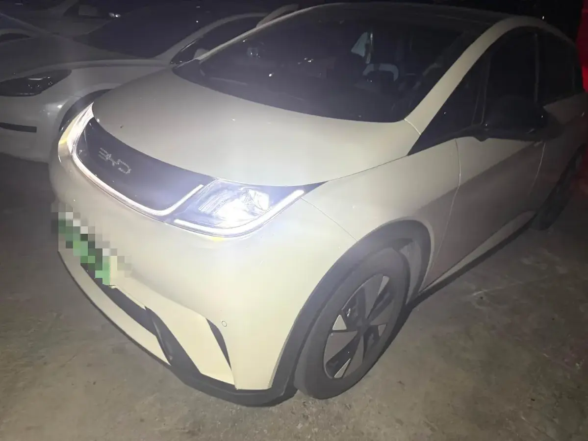 2023 BYD Dolphin BEV 44.928KWH