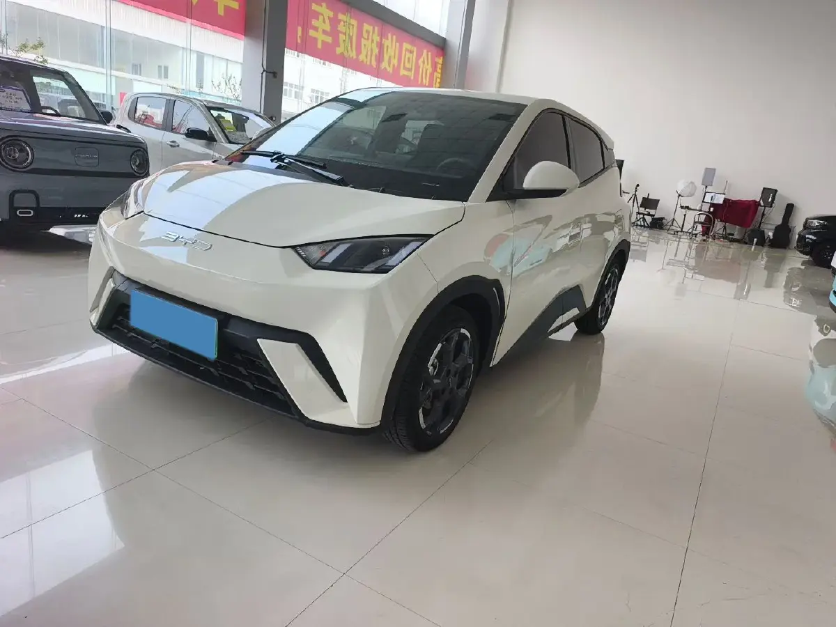 2024 BYD Seagull BEV 30.08KWH