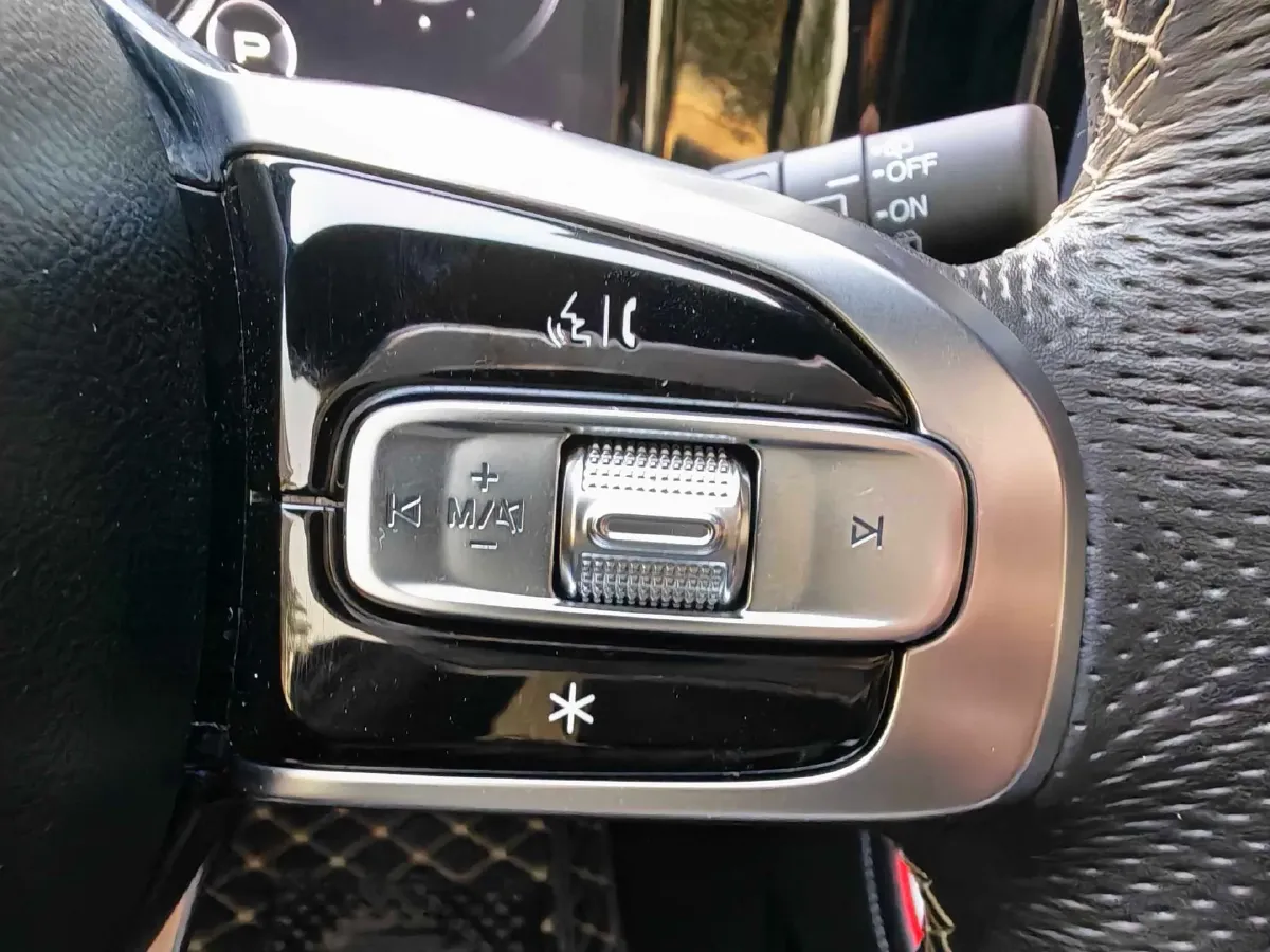 2022 GAC Trumpchi GS8 2.0T 252HP L4 8AT,autocango,china used car exporter,china ev exporter,chinese used car exporter,chinese used ev exporter