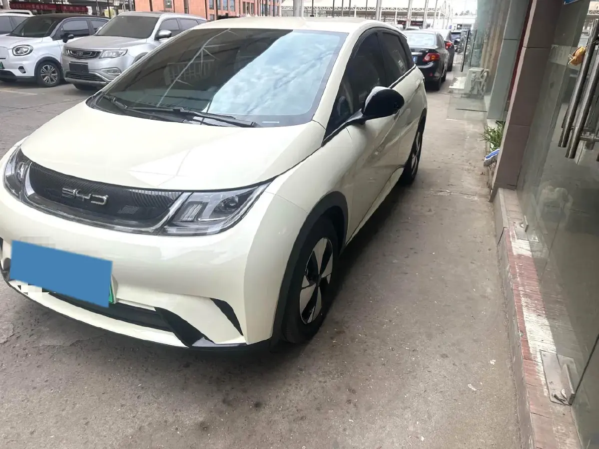 2023 BYD Dolphin BEV 44.928KWH