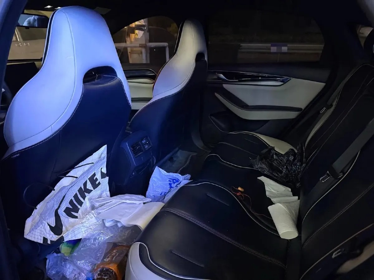 2021 DongFeng FuKang e Elysee BEV 38.4KWH,autocango,china used car exporter,china ev exporter,chinese used car exporter,chinese used ev exporter