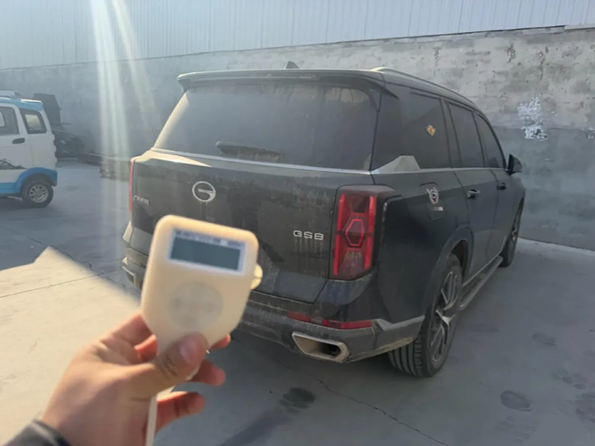 2025 GAC Trumpchi GS8 2.0T 252HP L4 8AT,autocango,china used car exporter,china ev exporter,chinese used car exporter,chinese used ev exporter