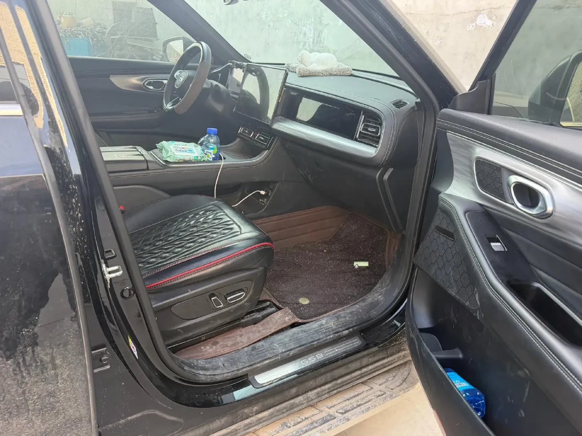 2025 GAC Trumpchi GS8 2.0T 252HP L4 8AT,autocango,china used car exporter,china ev exporter,chinese used car exporter,chinese used ev exporter