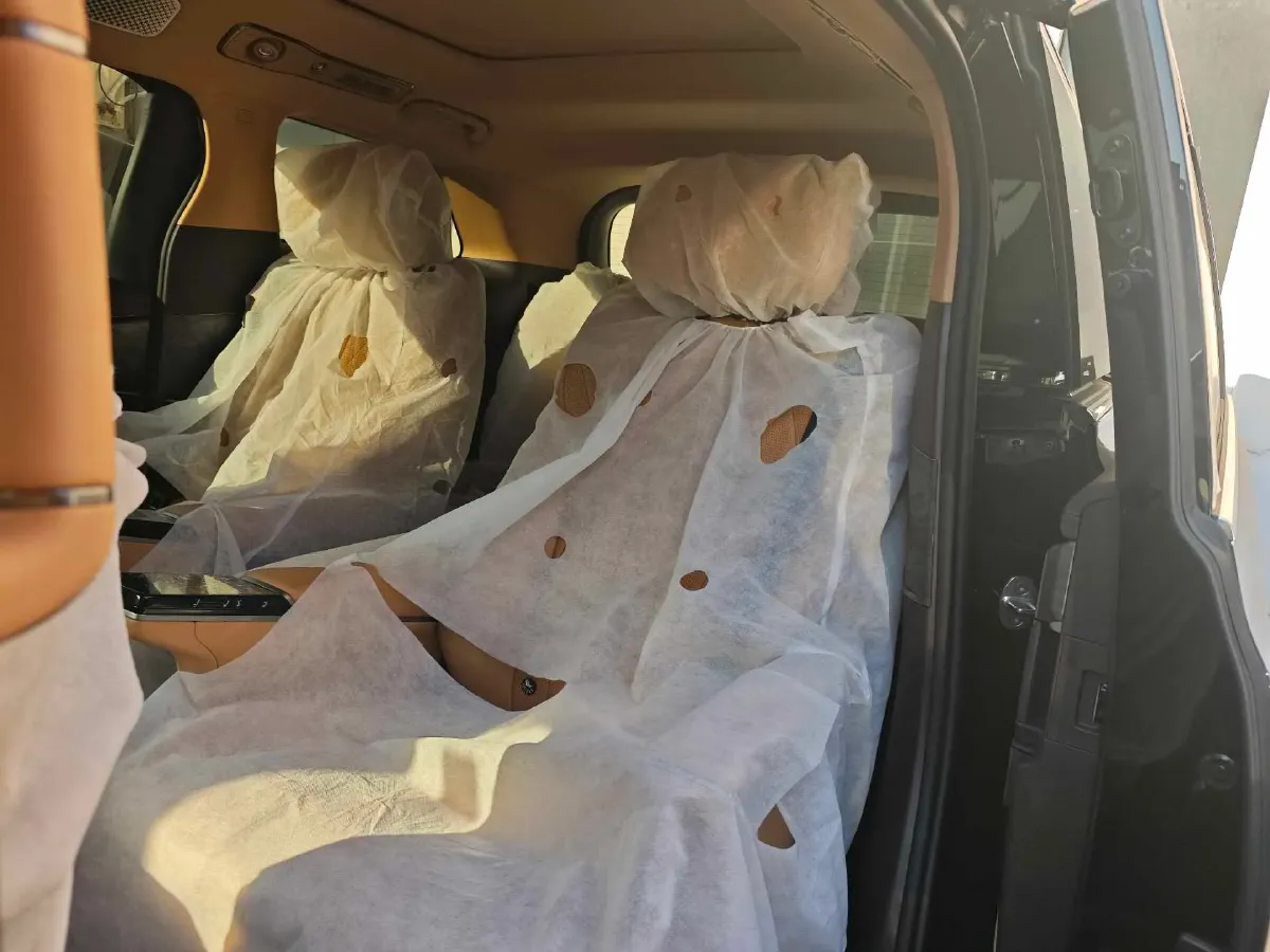 2025 Denza D9 1.5T 156HP L4 E-CVT PHEV 40KWH,autocango,china used car exporter,china ev exporter,chinese used car exporter,chinese used ev exporter