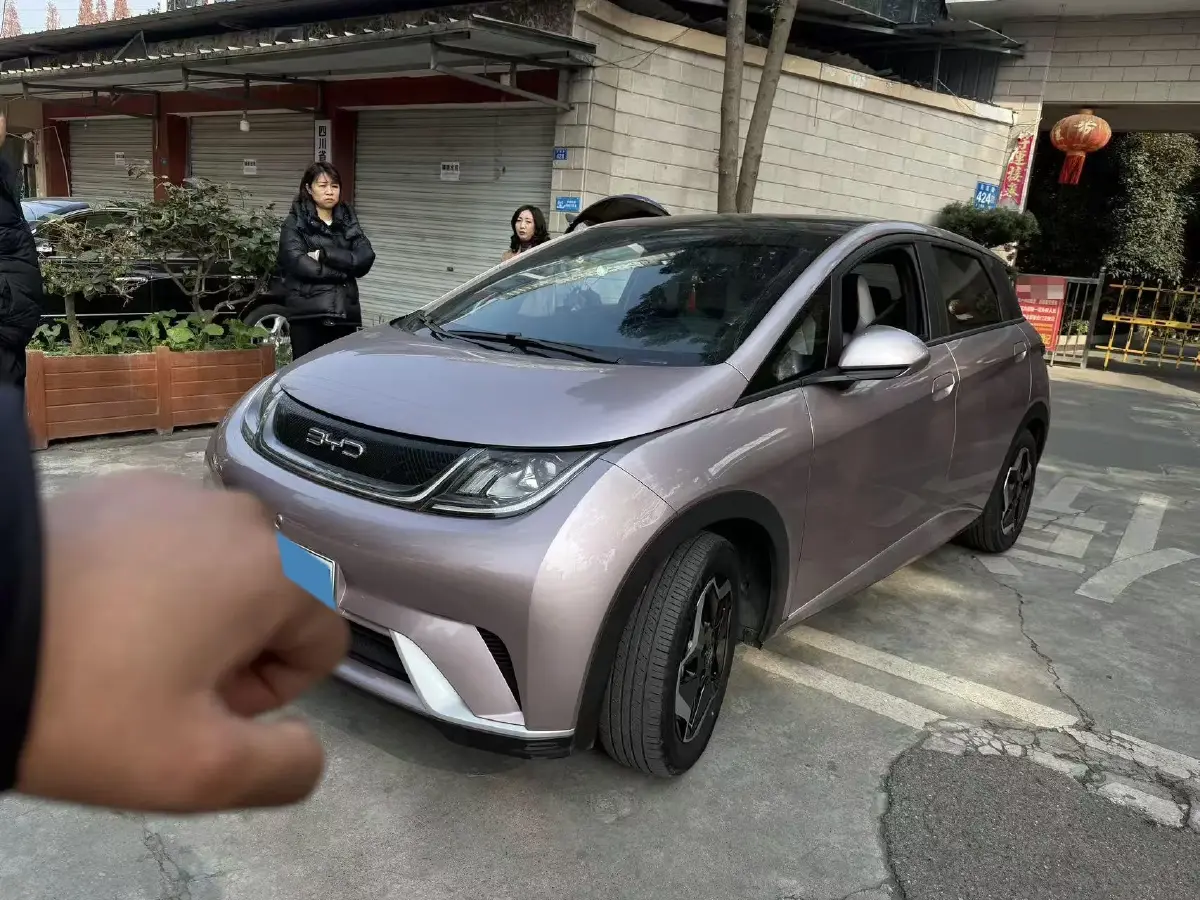 2021 BYD Yuan Pro BEV 50.1KWH