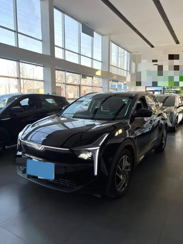 2020 Neta U BEV 68KWH