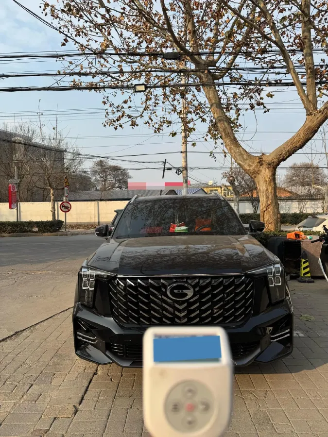 2025 GAC Trumpchi GS8 2.0T 252HP L4 8AT,autocango,china used car exporter,china ev exporter,chinese used car exporter,chinese used ev exporter