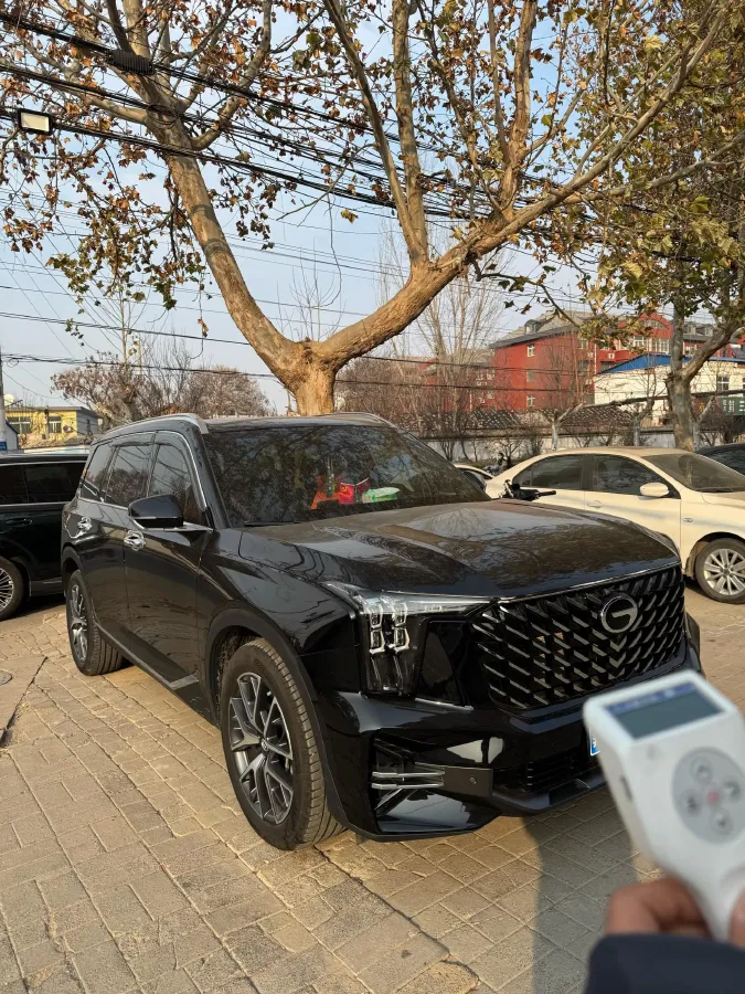 2025 GAC Trumpchi GS8 2.0T 252HP L4 8AT,autocango,china used car exporter,china ev exporter,chinese used car exporter,chinese used ev exporter