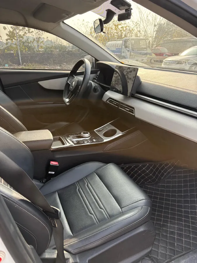 2021 BYD Qin BEV 53.56KWH,autocango,china used car exporter,china ev exporter,chinese used car exporter,chinese used ev exporter