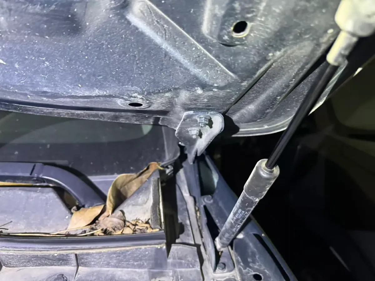 2020 Dongfeng RuiQi 6 2.4L 158HP L4 5MT,autocango,china used car exporter,china ev exporter,chinese used car exporter,chinese used ev exporter