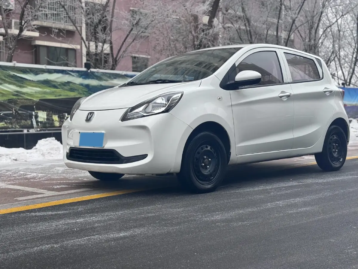 2021 ChangAn BenBen E-Star BEV 31.95KWH