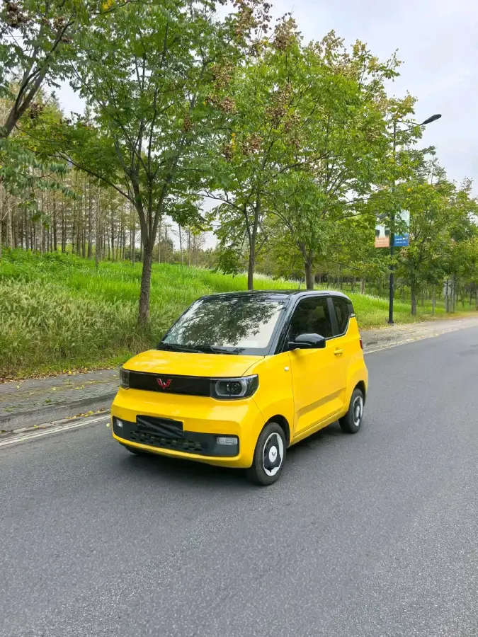 2022 WuLing HongGuang MINI EV BEV 9KWH